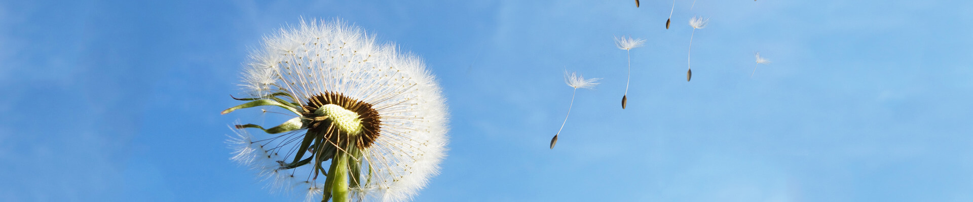 林州币游官网,币游入口,币游登录官网集团股份有限公司