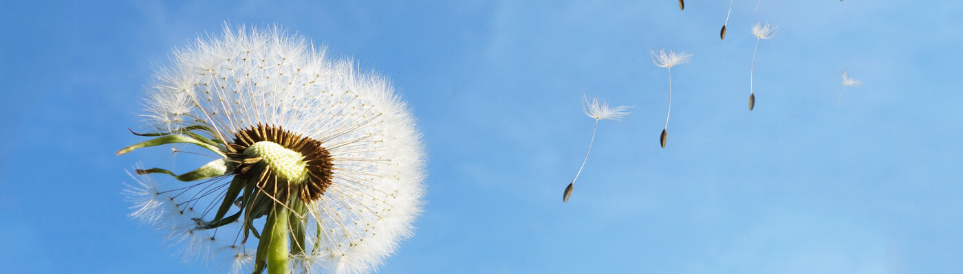 林州币游官网,币游入口,币游登录官网集团股份有限公司